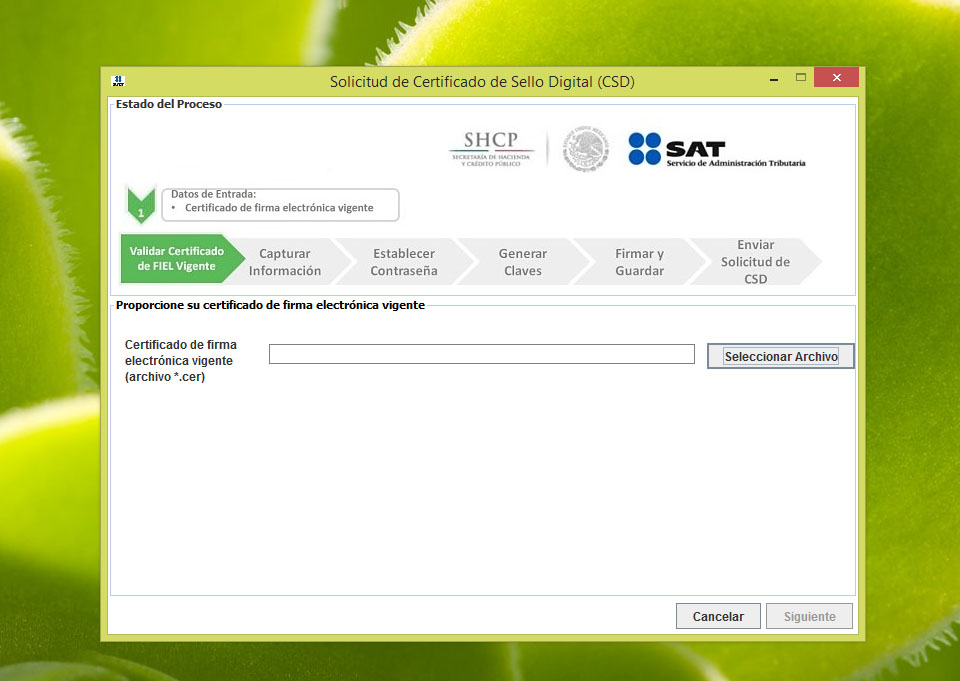 Como Generar Y Tramitar El Certificado De Sello Digital Csd Del Sat