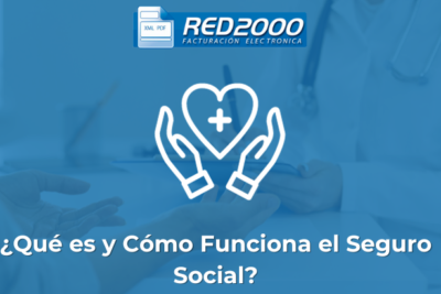 ¿Qué es y Cómo Funciona el Seguro Social?